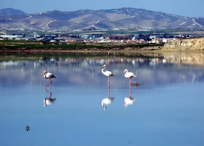 Blue Bay House Casa de Férias *